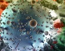 Каковы причины заражения цитомегаловирусом?