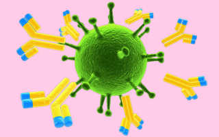 Анализы на антитела к цитомегаловирусу