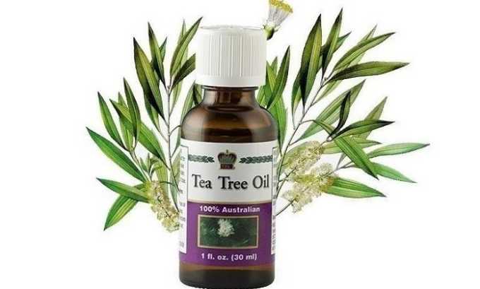Очень часто в противогерпесной терапии используют масло чайного дерева
