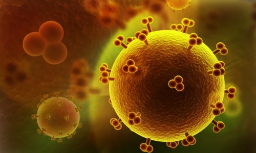 Вирус 6 типа является малоизученным представителем семейства герпесвирусов, чаще всего поражающим детей младше 3 лет
