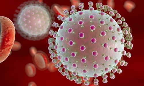 Присутствие герпесвируса в крови человека не опасно при условии нормального функционирования иммунной системы
